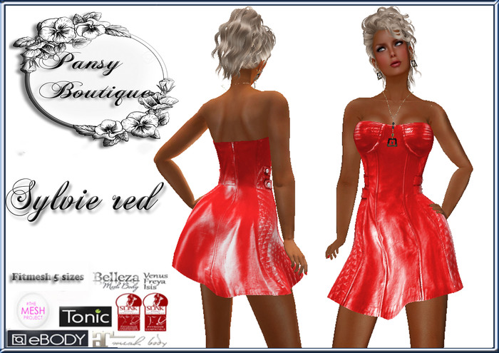 SYLVIE RED Leather Bustier Dress 