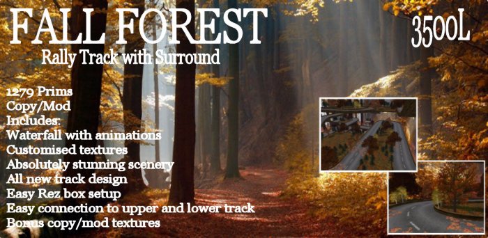 Fall Forest Rally Track with Surround