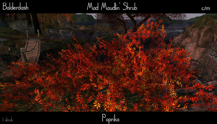 Balderdash - Mad Maudlin' shrub -Paprika