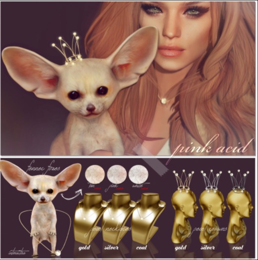 Pink Acid Baby Fennec Fox - Pinkish RARE