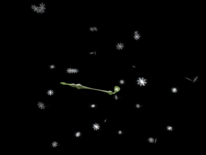 GLASS KISERU SNOWGREEN