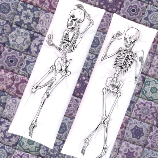 Skelly Daki