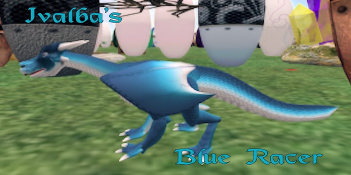 Blue Racer N (F)