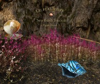 Fleuriste*SeaBush  Fucsia