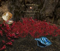 Fleuriste*SeaBush Aqua