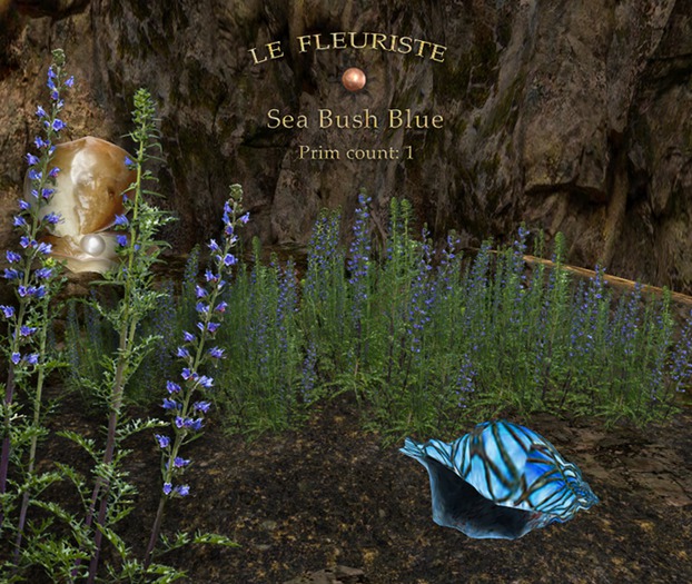 Fleuriste*SeaBush Blue
