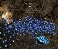 Fleuriste*SeaBush Lapis