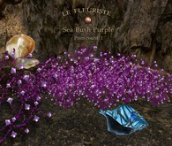 F*SeaBush Purple
