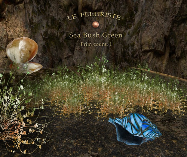 Fleuriste*SeaBush Green
