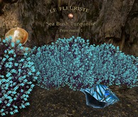 F*SeaBush Turquoise