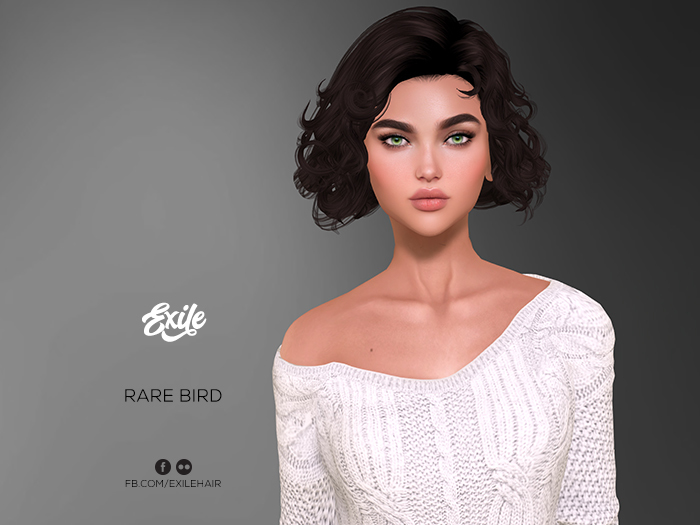 Exile - Rare Bird Demo