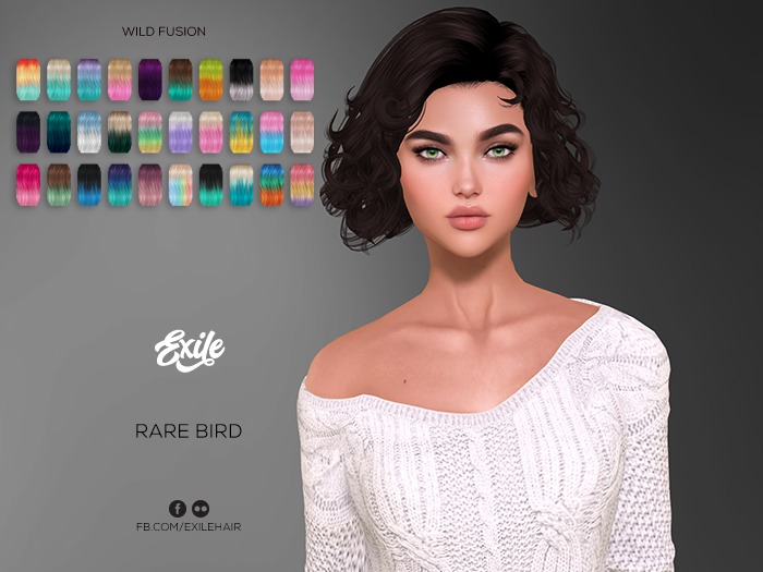 Exile - Rare Bird - Wild Fusion