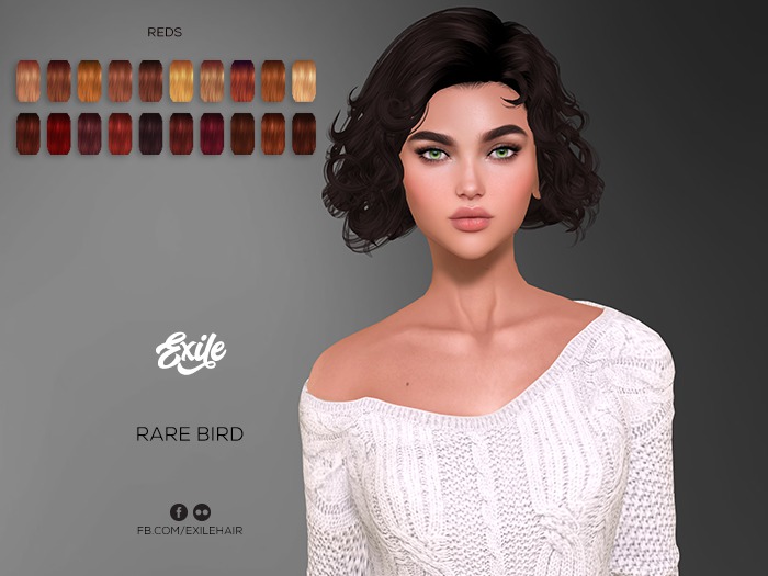 Exile - Rare Bird - Reds