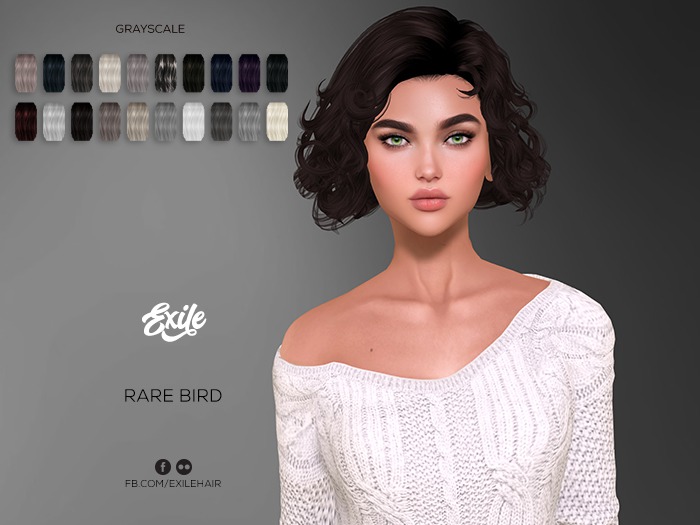 Exile - Rare Bird - Grayscale