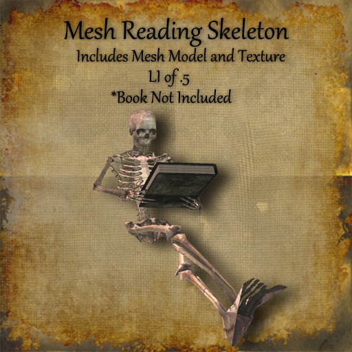 Bad Katz Reading Skeleton
