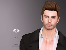 Exile - AJ - All or Nothing