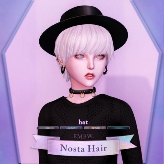 .EMBW. Nosta Hair .Color