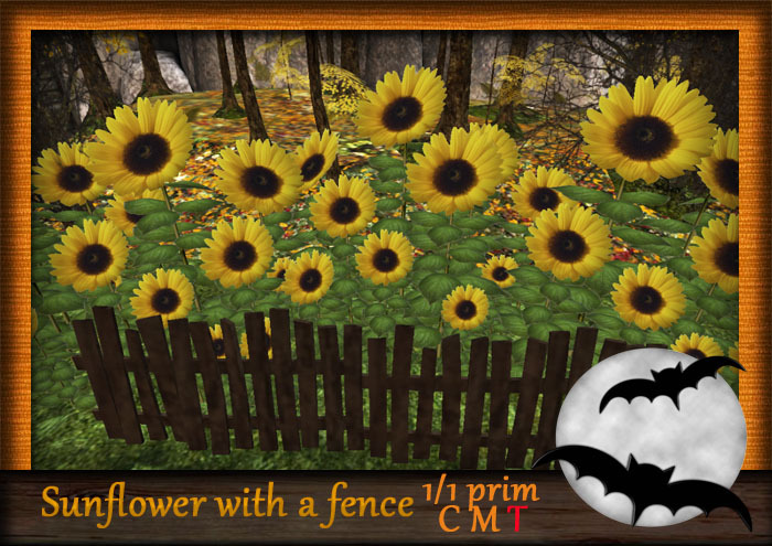 Sunflower with a fence