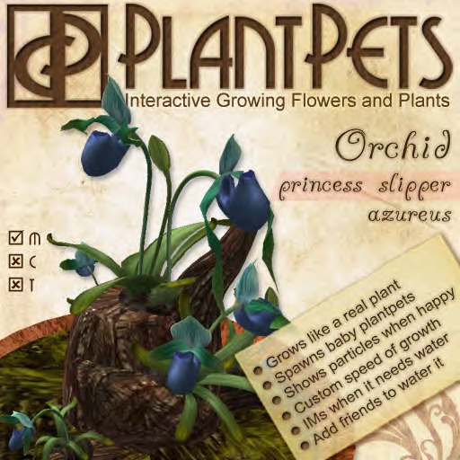 PlantPet Seed [Princess Slipper Orchid *Azureus*]