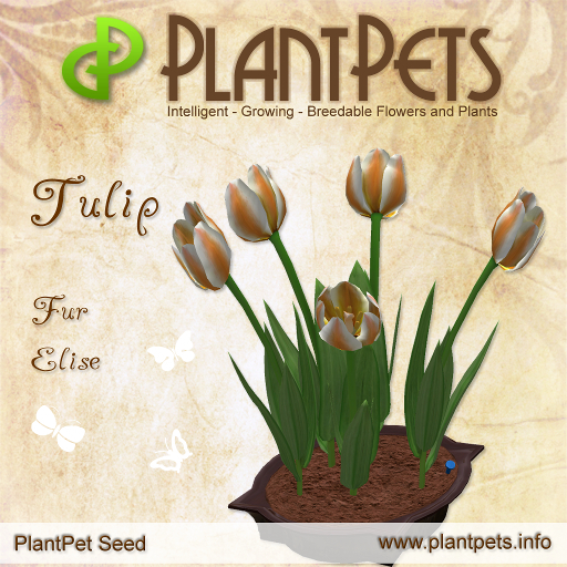 PlantPet Seed [Tulip *Fur Elise*]