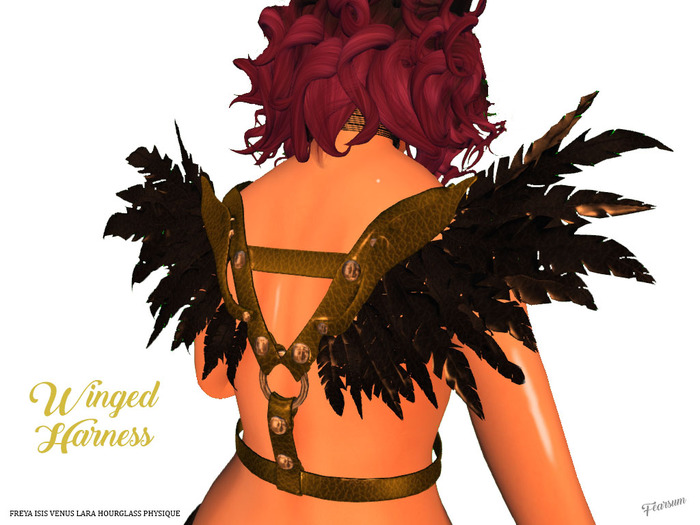 [F] Winged Harness - Gold-Black Fitted Mesh