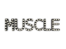 [Px] "MUSCLE" Illuminated Light Bulbs Sign