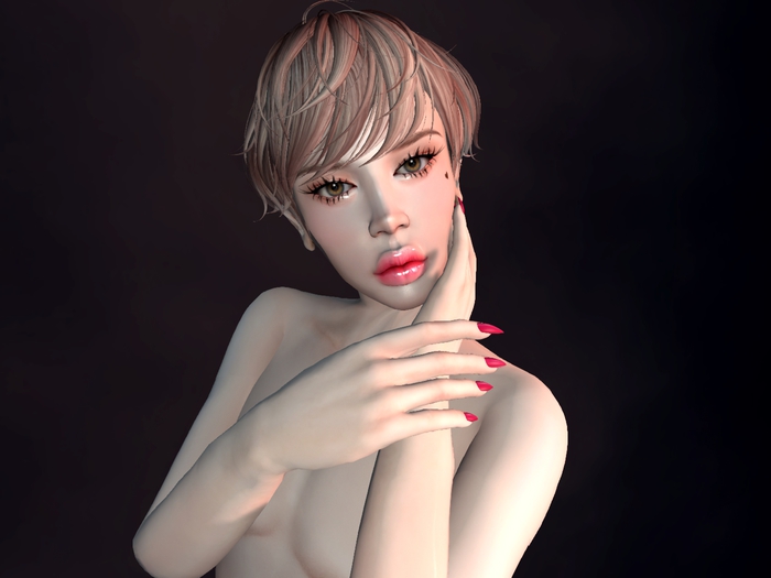 Camera Obscura Shapes: *Perfect Toy*