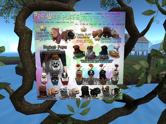 Jian Puff Pups :: Bundled Chocolate Puff (BOX)