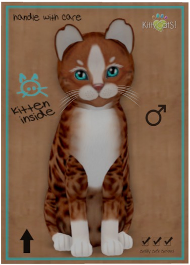 KittyCatS Box - Genesis - Ginger II - Toy