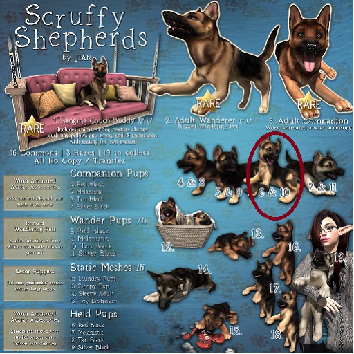 JIAN Scruffy Shepherds BOX 6. Companion Pup Tan Black