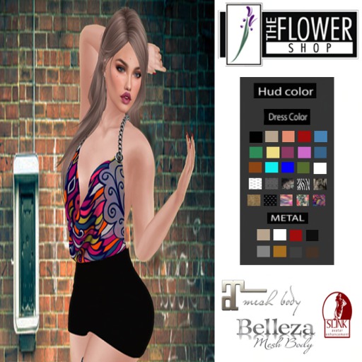 .; THE F.S DRESS BRUNE :. DEMO