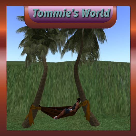 Hammock & Palms - Single person