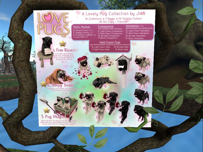 JIAN Love Pugs 13. Wanderer Dark Fawn BOX