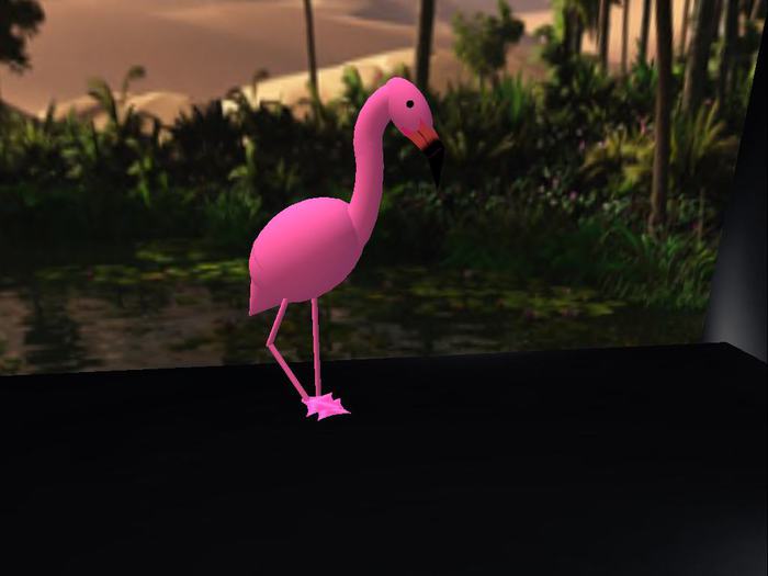 Pink Flamingo