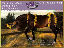 *E* Driving Miss Daisy Sunflower Set [BOXED] RH Cleveland Bay