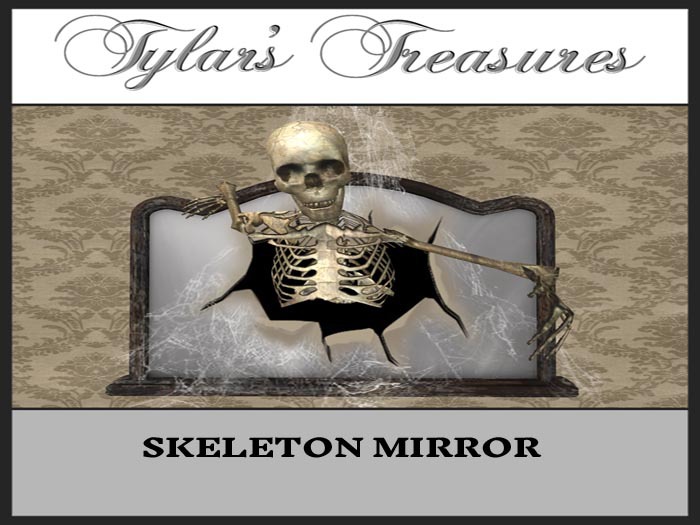 .:TT:.  SKELETON  MIRROR BOX