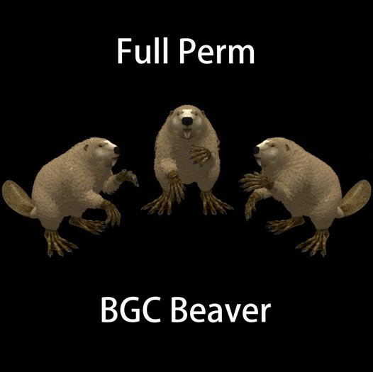 BGC Beaver