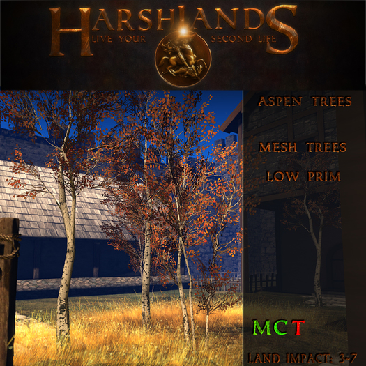 [HL] Aspen Trees (BOX)