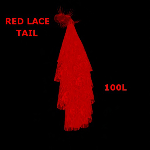 Red Lace Tail