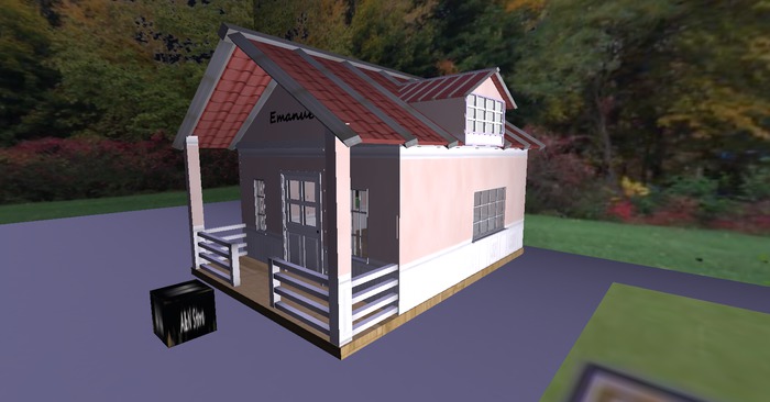 Doll House Pink Security