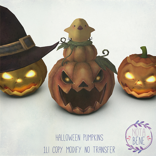 [nota bene] halloween pumpkins