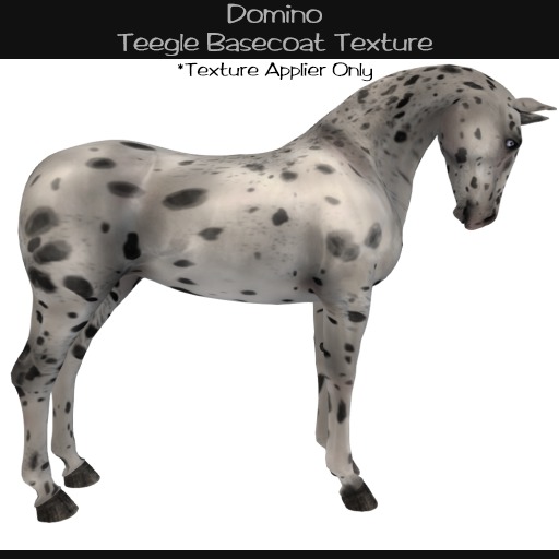 Starswept Teegle Horse Texture: Domino