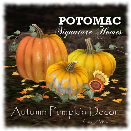 Potomac - Autumn Pumpkin Decor (boxed)