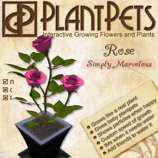 PlantPet Seed [Rose *Simply Marvelous*] RARE