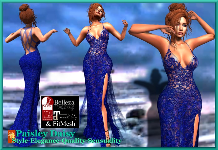 Paisley Daisy - Spellbinding Sheer Blue Gown
