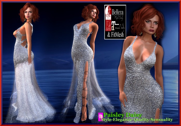 Paisley Daisy - Smooth Fall Silver Gown