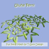 T-Spot Mesh - Uluhe Fern (Dicranopteris linearis)- Full Perm - LI=0.5-2.9