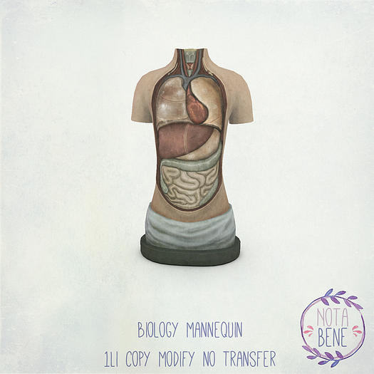[nota bene] bio mannequin