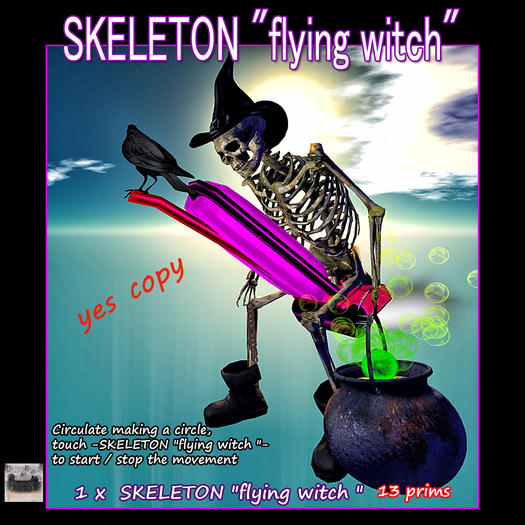 SKELETON "flying witch "boxsep18