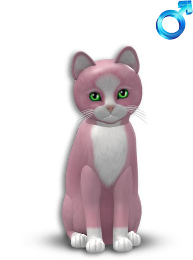 KittyCatS Box - cute cute 3